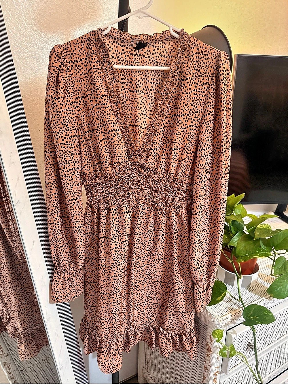 Animal Print Mini Dress